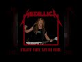 Metallica - What If 