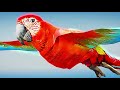 This parrot is awfully racist in GTA 5 RP