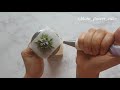 [ENG SUB]생화같은 스카비오사 파이핑How to make real Scabiosa with Butter Cream