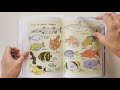 OCEAN ANATOMY | Julia Rothman Collection | Book Flip Through