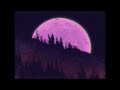 Bleex  - Neon Moon (ft. default-taste) (Official Visualizer)