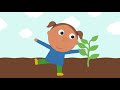 How Does a Plant Grow? (Lifecycle of Plant) | Miss Molly Sing Along Songs | The ALPHABET Kids