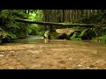 4K video + natural  sounds  / Sound of water flowing gently in the forest / Birds chirping