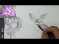 Drawing and Shading Flower