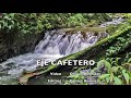 COLOMBIA : Eje cafetero