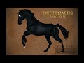 Tribute: Alexander & Bucephalus (Αφιέρωμα: Αλέξανδρος και Βουκεφάλας)