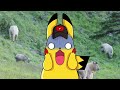 32 Pokemon Caught In Real Life!