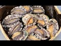 Producing Millions Tons of Seafood Every Day - Asian Seafood Processing Factory - Fish Processing