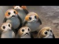 Duel Of The PORGS - Made With Porg Sounds!