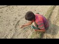 কৃষি জমির পরিচর্যা #কৃষক #viral #agriculture