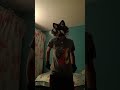 ♥ ShadowRavenPaws ♥ is live!