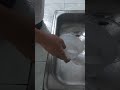 washing the dishes with my cockroach friend