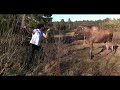 You shall not pass moose! (man vs moose original edit lotr)
