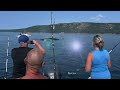 Conception Bay Whales