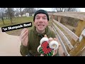 TRUTH About Andy Anderson's New Pro Skateboard Wheels: Honest Review!