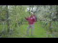 15 year old PERMACULTURE ORCHARD Tour