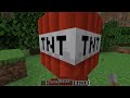 Which Tnt is better?