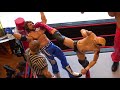 WWE Action figure Set Up - DAZE