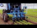 30 Most Satisfying Agriculture Technology ► 14 | Discover Pumpkin Harvest Techniques 🎃