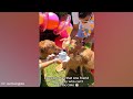 Funniest CATS and DOGS 2024 😂 Funny ANIMALS videos