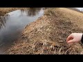 It took me 2 YEARS to catch this GIANT FISH - OLD ABANDONED STREAM FISHING!(WILD BROWN TROUT)