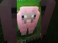 I JUST SAW A PINK SHEEP IN MINECRAFT (Read Desc)