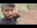 Aamar khete kana kana achhe j asa dekhma ll sambalpuri vlogs ll #labavlogsofficial