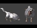 The First Wolves in Souls Game