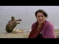 BBC - The Buddha : Genius Of The Ancient World - Episode 1 (English Subtitle) HD