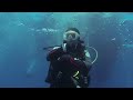 Scuba Diving Cyprus Zenobia Wreck Dive With Marine Divers Paphos