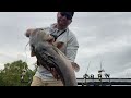 Flathead day on the Cumberland! Bite was on fire!