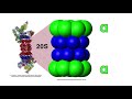 THE PROTEASOME, UBIQUITINATION, AND PROTEIN DESTRUCTION