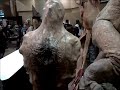 Silent Hill display at Fan Expo 2013