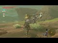 Lynel Does An Epic Leap
