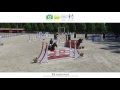 Horse jump fail compilation | SLaudiovisual 2015