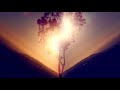 Tree - Universal (ft. Ariel Thiermann) - Music Video