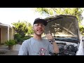 Easy Tips to Keep Rodents, Mice & Rats Out of Your Engine Bay