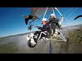 Amazing flights with birds on board of a microlight. Christian Moullec avec ses oiseaux