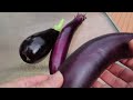 When to Harvest Eggplant? Sooner that you think!