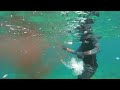 Octopushunt | SpearFishing