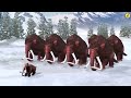 10 Black Mammoths vs Woolly Mammoth Epic Battle Mammoth Elephant Save Baby Mammoth Battle Stories