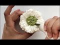 How to pipe buttercream Scabiosa (Preview)