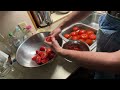 Canning Maters In Appalachia v233