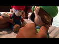 Mario & Luigi's Questions [REMASTERED]