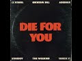 Die For You (Instrumental)