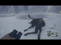 The hunter cotw Trophy Montage #3