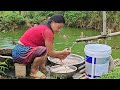 Simple but very effective technique for catching stream fish/biengiangmyfamily