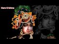 श्रीमद्भगवद्गीता गीता || Hare Krishna || AMULYA AGAM||