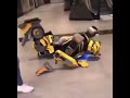 Bumblebee has fallen