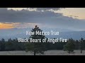 Epic Series of Black Bear & Predators of Angel Fire, NM - on The Rocky Mountain Elk & Deer Watch